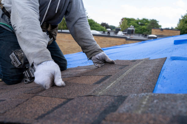 Best Storm Damage Roof Repair  in New Paris, OH