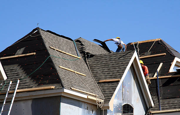 Best Storm Damage Roof Repair  in New Paris, OH