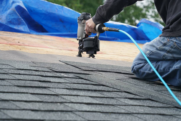 Best Shingle Roofing Installation  in New Paris, OH